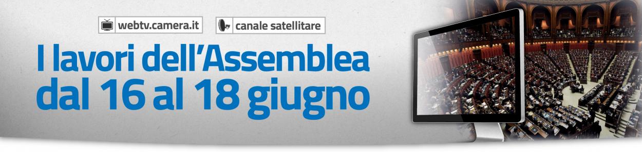 I lavori dell'Assemblea