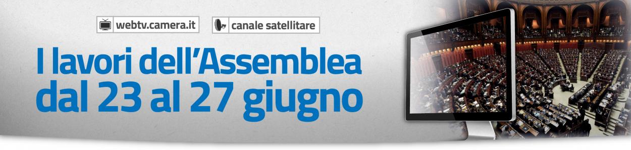 I lavori dell'Assemblea