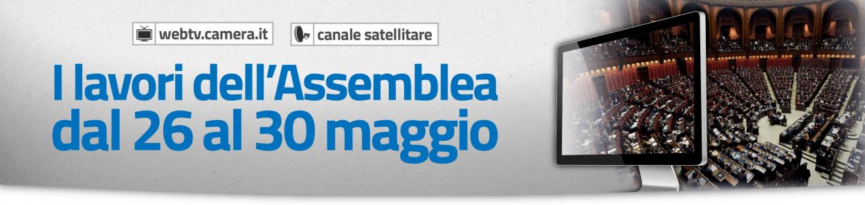 I lavori dell'Assemblea