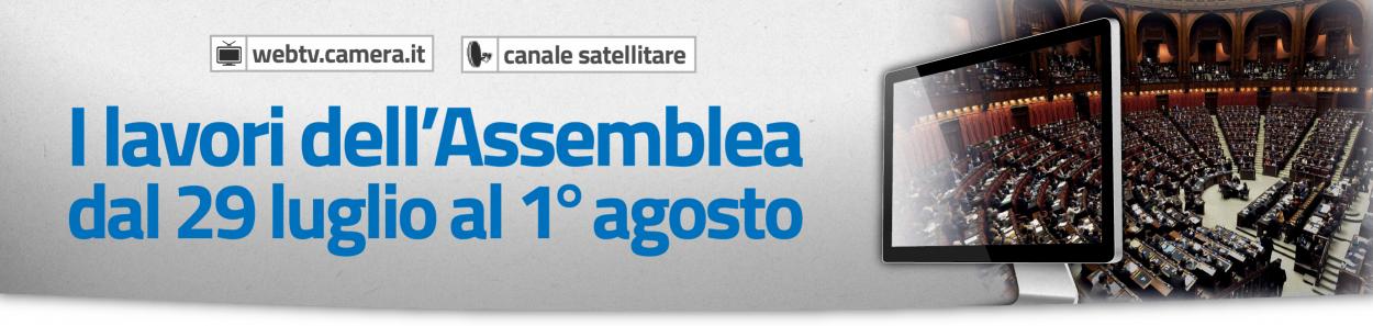 I lavori dell'Assemblea
