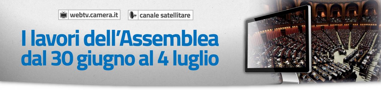 I lavori dell'Assemblea