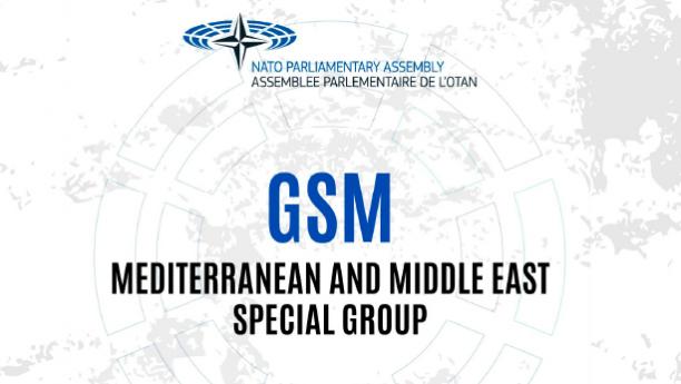 GSM_NATO